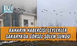 BAHARIN HABERCİSİ LEYLEKLER SAKARYA’DA GÖRSEL ŞÖLEN SUNDU