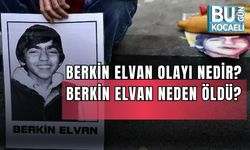 BERKİN ELVAN OLAYI NEDİR? BERKİN ELVAN NEDEN ÖLDÜ?