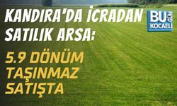 KANDIRA'DA İCRADAN SATILIK ARSA: 5.9 DÖNÜM TAŞINMAZ SATIŞTA