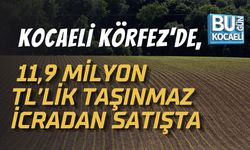 KOCAELİ KÖRFEZ'DE, 11,9 MİLYON TL’LİK TAŞINMAZ İCRADAN SATIŞTA