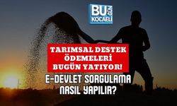 TARIMSAL DESTEK ÖDEMELERİ BUGÜN YATIYOR! E-DEVLET SORGULAMA NASIL YAPILIR?