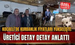 KOCAELİ’DE KURBANLIK FİYATLARI YÜKSELİŞTE: ÜRETİCİ DETAY DETAY ANLATTI
