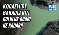 KOCAELİ'DE BARAJLARIN DOLULUK ORANI NE KADAR? 21 MART 2026 GÜNCEL TABLO