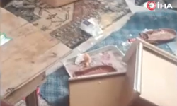 TRABZON’DA YAYLA EVİNE GİREN AYI ORTALIĞI DAĞITTI