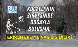 KOCAELİ’NİN ZİRVESİNDE DOĞAYLA BULUŞMA: ERİKLİTEPE’YE NASIL GİDİLİR?