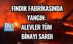 FINDIK FABRİKASINDA YANGIN: ALEVLER TÜM BİNAYI SARDI