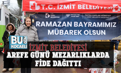 İZMİT BELEDİYESİ AREFE GÜNÜ MEZARLIKLARDA FİDE DAĞITTI
