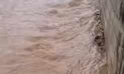 VİRANŞEHİR’DE SEL PANİĞİ! 9 KİŞİLİK AİLE SON ANDA KURTARILDI