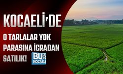 KOCAELİ’DE O TARLALAR YOK PARASINA İCRADAN SATILIK!