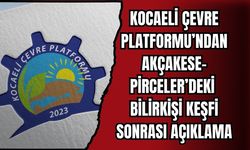 KOCAELİ ÇEVRE PLATFORMU’NDAN AKÇAKESE-PİRCELER’DEKİ BİLİRKİŞİ KEŞFİ SONRASI AÇIKLAMA