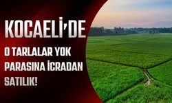 KOCAELİ’DE O TARLALAR YOK PARASINA İCRADAN SATILIK!