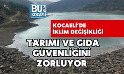 KOCAELİ’DE İKLİM DEĞİŞİKLİĞİ TARIMI VE GIDA GÜVENLİĞİNİ ZORLUYOR