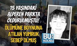 15 YAŞINDAKİ ALPEREN PARKTA ÖLDÜRÜLMÜŞTÜ! ÖLÜMÜNE BOYNUNA ATILAN YUMRUK SEBEP OLMUŞ