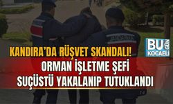 KANDIRA’DA RÜŞVET SKANDALI! ORMAN İŞLETME ŞEFİ SUÇÜSTÜ YAKALANIP TUTUKLANDI