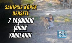 SAHİPSİZ KÖPEK DEHŞETİ: 7 YAŞINDAKİ ÇOCUK YARALANDI