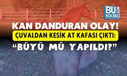 KAN DANDURAN OLAY! ÇUVALDAN KESİK AT KAFASI ÇIKTI: “BÜYÜ MÜ YAPILDI?”
