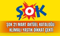 ŞOK 21 MART AKTÜEL KATALOĞU: KLİMALI YASTIK DİKKAT ÇEKTİ