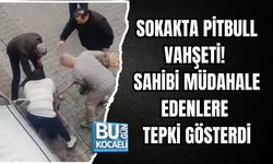 SOKAKTA PİTBULL VAHŞETİ! SAHİBİ MÜDAHALE EDENLERE TEPKİ GÖSTERDİ