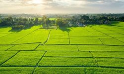 GEBZE’DE İKİ ARSA İCRA YOLUYLA SATIŞA ÇIKIYOR