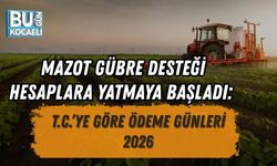MAZOT GÜBRE DESTEĞİ HESAPLARA YATMAYA BAŞLADI: T.C.’YE GÖRE ÖDEME GÜNLERİ 2026