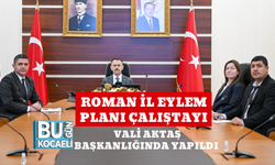 ROMAN İL EYLEM PLANI ÇALIŞTAYI VALİ AKTAŞ BAŞKANLIĞINDA YAPILDI