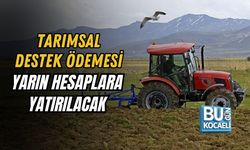 TARIMSAL DESTEK ÖDEMESİ YARIN HESAPLARA YATIRILACAK