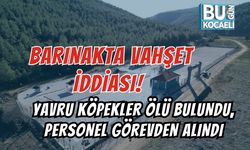 BARINAKTA VAHŞET İDDİASI! YAVRU KÖPEKLER ÖLÜ BULUNDU, PERSONEL GÖREVDEN ALINDI