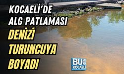 KOCAELİ'DE ALG PATLAMASI DENİZİ TURUNCUYA BOYADI