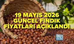 19 MAYIS 2026 GÜNCEL FINDIK FİYATLARI AÇIKLANDI