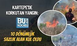YAZ GELDİ YANGINLAR BAŞLADI! KARTEPE'DE KORKUTAN YANGIN: 10 DÖNÜMLÜK SAZLIK ALAN KÜL OLDU