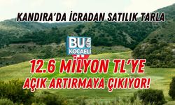 KANDIRA'DA İCRADAN SATILIK TARLA: 12.6 MİLYON TL'YE AÇIK ARTIRMAYA ÇIKIYOR!
