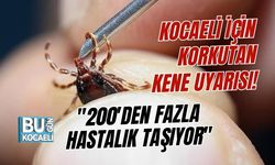 KOCAELİ İÇİN KORKUTAN KENE UYARISI! "200'DEN FAZLA HASTALIK TAŞIYOR"