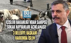 İÇİŞLERİ BAKANLIĞI'NDAN SAHİPSİZ SOKAK HAYVANLARI AÇIKLAMASI! 3 BELEDİYE BAŞKANI HAKKINDA İŞLEM