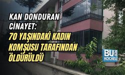 KAN DONDURAN CİNAYET: 70 YAŞINDAKİ KADIN KOMŞUSU TARAFINDAN ÖLDÜRÜLDÜ