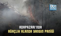 ADAPAZARI’NDA AĞAÇLIK ALANDA YANGIN PANİĞİ