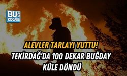 ALEVLER TARLAYI YUTTU! TEKİRDAĞ’DA 100 DEKAR BUĞDAY KÜLE DÖNDÜ