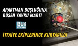 APARTMAN BOŞLUĞUNA DÜŞEN YAVRU MARTI İTFAİYE EKİPLERİNCE KURTARILDI