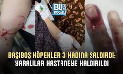 BAŞIBOŞ KÖPEKLER 3 KADINA SALDIRDI: YARALILAR HASTANEYE KALDIRILDI