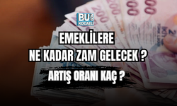 EMEKLİ ZAMLARI NE OLACAK ? GÖZLER 3 TEMMUZDA ? ARTIŞ ORANI KAÇ ?