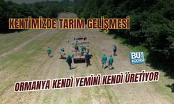 ORMANYA KENDİ YEMİNİ KENDİ ÜRETİYOR