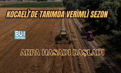 KOCAELİ’DE TARIMDA VERİMLİ SEZON: ARPA HASADI BAŞLADI