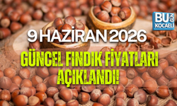 9 HAZİRAN 2026 GÜNCEL FINDIK FİYATLARI AÇIKLANDI