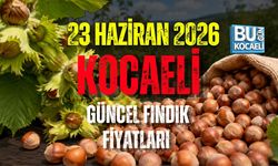23 HAZİRAN KOCAELİ GÜNCEL FINDIK FİYATLARI