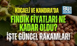 23 HAZİRAN KOCAELİ GÜNCEL FINDIK FİYATLARI