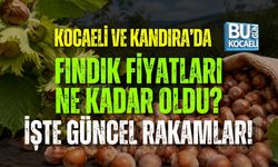 23 HAZİRAN KOCAELİ GÜNCEL FINDIK FİYATLARI