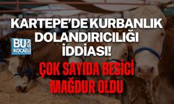 KARTEPE’DE KURBANLIK DOLANDIRICILIĞI İDDİASI! ÇOK SAYIDA BESİCİ MAĞDUR OLDU