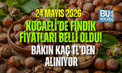 24 MAYIS 2026 KOCAELİ'DE FINDIK RAKAMLAR BELLİ OLDU! BAKIN KAÇ TL’DEN ALINIYOR