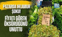 PAZARDA IHLAMUR ŞOKU! FİYATI GÖREN ÖKSÜRÜĞÜNÜ UNUTTU