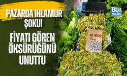 PAZARDA IHLAMUR ŞOKU! FİYATI GÖREN ÖKSÜRÜĞÜNÜ UNUTTU