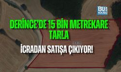 DERİNCE’DE 15 BİN METREKARE TARLA İCRADAN SATIŞA ÇIKIYOR!